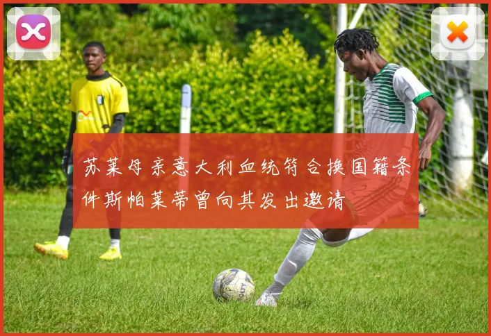 苏莱母亲意大利血统符合换国籍条件斯帕莱蒂曾向其发出邀请