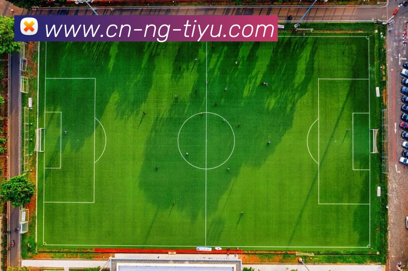 南宫体育服务体系